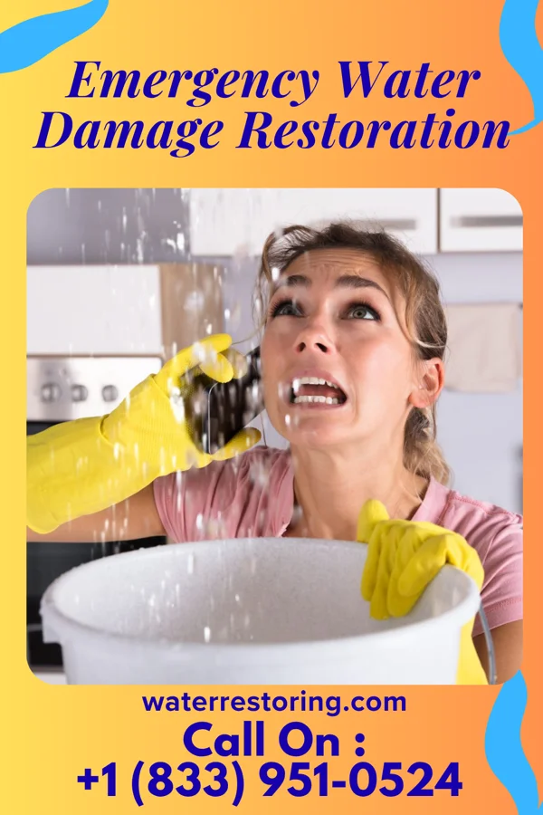 Emergency Water Damage Restoration in Sherwood Shores, TX
